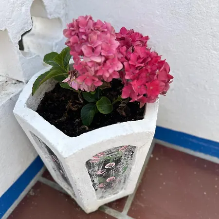 Casa Do Poco B&B 오비도스