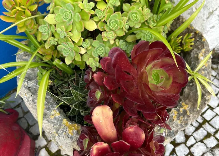 Casa Do Poco Óbidos