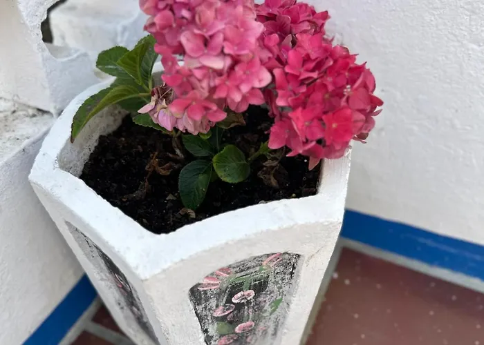 Casa Do Poco Bed and breakfast Óbidos